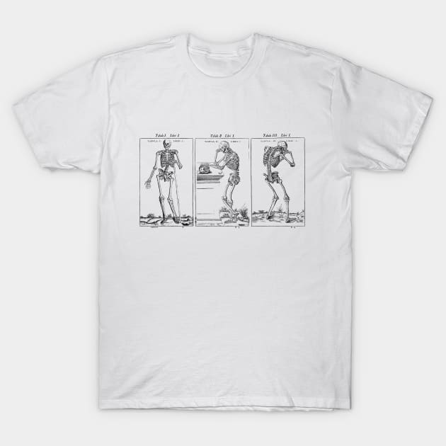 Vesalius Three Skeletons T-Shirt by cavalaxis